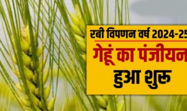 समर्थन मूल्य पर गेहूँ उपार्जन के लिए अब 10 मार्च तक होगा पंजीयन