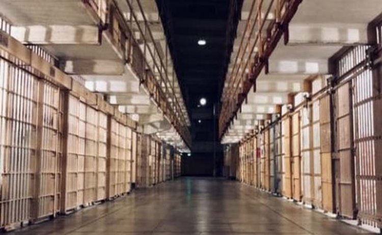 वन्यप्राणी अवयवों की तस्करी के आरोपी की जमानत माननीय जिला एवं सत्र न्यायालय नर्मदापुरम से हुई निरस्त