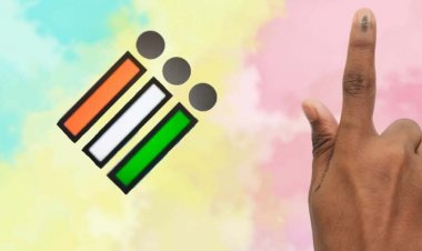 गढ़चिरौली के नक्सल इलाके में पहुंची चुनाव अफसरों की टीम, सौ साल के बुजुर्ग ने डाला वोट