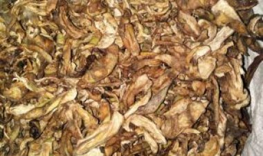 बाजार पहुंचा अमचूर