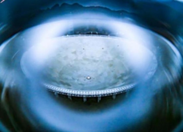 'फ्रीडम एट मिडनाइट' में आरिफ जकारिया बने जिन्ना, उनकी बहन फातिमा का किरदार निभाएंगी इरा दुबे