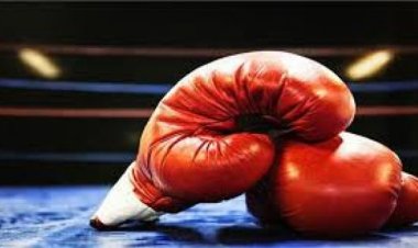 मुक्केबाज अमित पंघाल और जैस्मीन ने पेरिस ओलंपिक कोटा हासिल किया