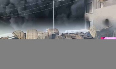 मैंने दबाव को संभालना और उसे प्रेरणा में बदलना सीख लिया है : नीरज चोपड़ा