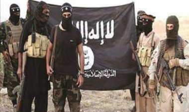 इराक में हवाई हमलों में सात आईएस आतंकवादी मारे गए