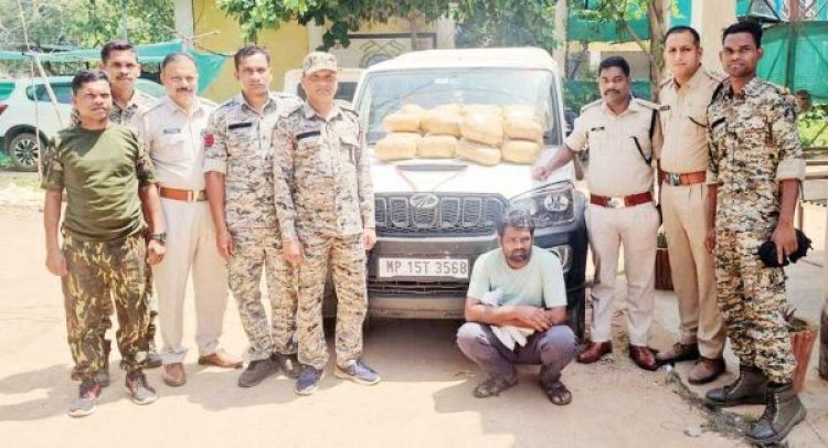 स्कार्पियो में गांजा तस्करी, एमपी का आरोपी बंदी