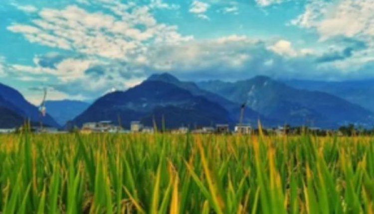 विश्व पर्यावरण दिवस : साकार होगा हरित विकास का सपना