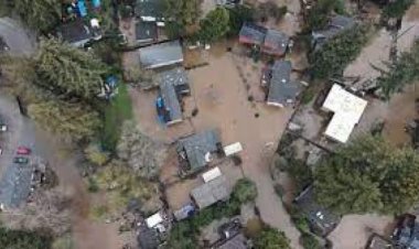 अमेरिका : तूफान ‘बेरिल’ ने टेक्सास में चार लोगों की जान ली, 30 लाख घरों, प्रतिष्ठानों की बिजली गुल