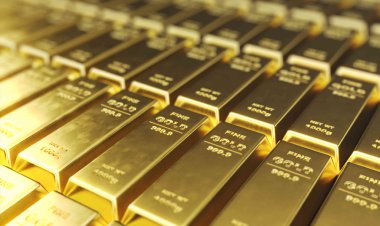 बेंगलुरु एसआईटी ने 17 किलो सोना और 2.5 करोड़ रुपये कैश बरामद किया