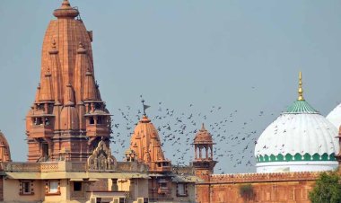 कृष्ण जन्मभूमि-शाही ईदगाह मामले में आज आएगा इलाहाबाद HC का फैसला, जानिए अर्जियों में क्या है?