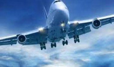 जापान के एयरपोर्ट पर कैंची गायब होने से 36 उड़ानें रद्द, क्या है मामला