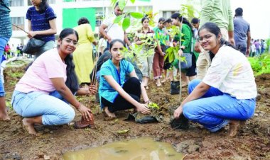 आईआईआईटी ने नवागंतुकों का किया स्वागत पौधरोपण के साथ