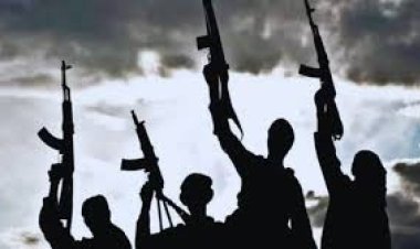 मध्य बुर्किना फासो में आतंकी हमले में कम से कम 100 लोगों की मौत