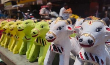 पोला के लिए सजा बाजार