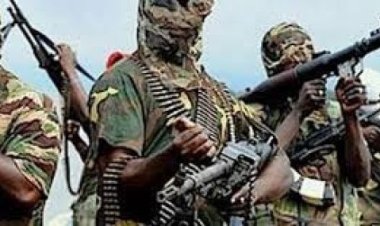 बोको हरम के नाइजीरिया के गांव पर हमले में 100 से अधिक लोगों की जान गयी : स्थानीय निवासी