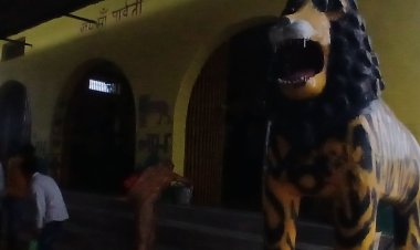 श्योपुर का प्रसिद्ध पार्वती माता का मंदिर:साल भर में एक दिन लगता है विशाल मेला, रात में रुकने पर है पाबंदी