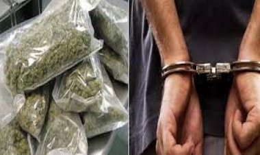 गांजा तस्कर गिरफ्तार