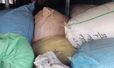 भोपाल में 1600Kg मावे की खेप पकड़ाई:चेकिंग के दौरान बस की डिक्की में रखा मिला; जांच के लिए सैंपल भेजे