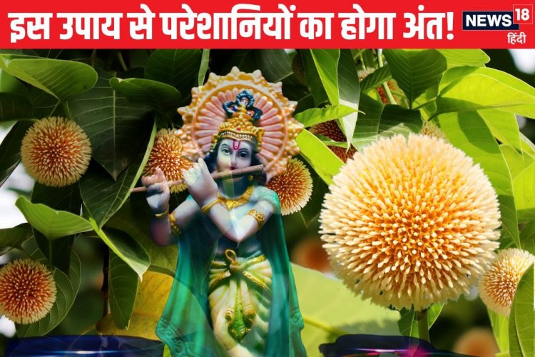 किसी के टोके बिना कर लें इस फूल का उपाय, अधूरे पड़े कामों में आ सकती तेजी