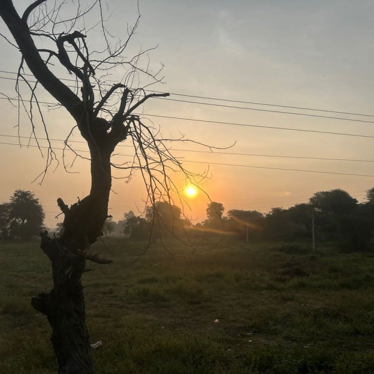 जिले में दिखने लगा ठंड का असर:'दाना' साइक्लोन बढ़ाएगा ठंडक; 20 के आसपास पहुंचा न्यूनतम तापमान