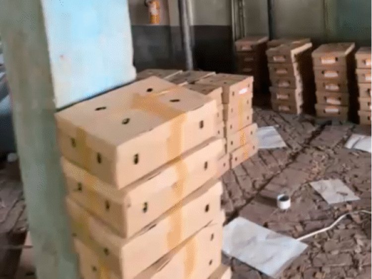 दुबई का जायका बढ़ाएंगे मालवा के मटर-करेले:इंदौर-शारजाह फ्लाइट से भेजा गया 1500 किलो पैरिशिबल कार्गो