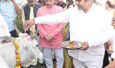 कामधेनु गौशाला में गोवर्धन पूजा का जिला स्तरीय कार्यक्रम आयोजित:जतारा विधायक हरिशंकर खटीक ने कलेक्टर के साथ किया गायों का पूजन