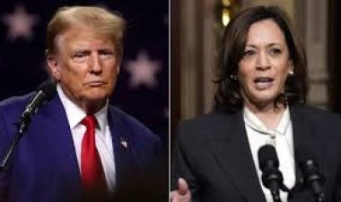 दिग्गी के भाई बोले-कमरे में बैठकर बनी कांग्रेस की कार्यकारिणी:लक्ष्मण सिंह ने कहा- कांग्रेस प्राइवेट कंपनी नहीं, जहां MD की मर्जी चलेगी