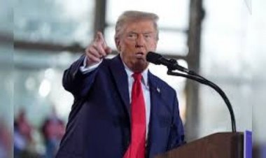 डोनाल्ड ट्रंप के लिए नॉर्थ कैरोलाइना की जीत कितनी बड़ी?