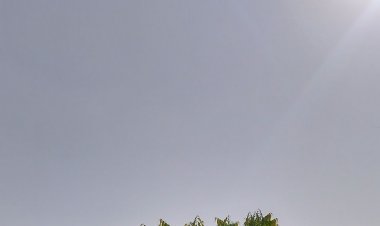 देवास में अब तक ठंड ने नहीं पकड़ा जोर:नवंबर का पहला सप्ताह बीता, दिन के समय चुभ रही धूप, शाम को गुलाबी ठंड का एहसास