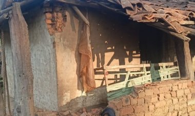 डिंडौरी में छत्तीसगढ़ से आए हाथियों का आतंक:गांव के कई घरों को किया क्षतिग्रस्त, अलर्ट पर वन-विभाग की टीम