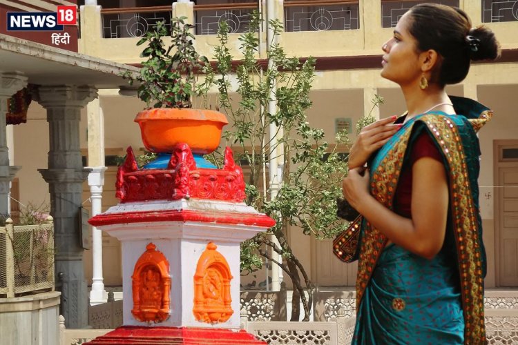 सुख आएगा या दुख... तुलसी के बार-बार सूखने से मिलता है ये खास संकेत