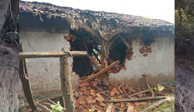 डिंडौरी में हाथियों और बाघ की दहशत जिला प्रशासन भी सहमा, बंद कराने पड़े स्कूल और हाट बाजार