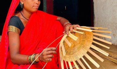 नारी शक्ति का हुआ सम्मान महतारी वंदन ने बढ़ाया मान,  महिला सशक्तिकरण के लिए संकल्पित विष्णु देव सरकार,  हितग्राही महिलाओं को अब तक 6530.41 करोड़ रूपए की मदद