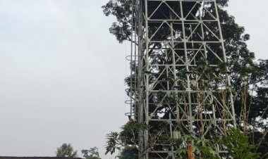 हर घर जल श्रेणी में शामिल हुआ गांव मड़वाकानी,    गांव में 65 क्रियाशील घरेलू नल कनेक्शन से दिया जा रहा है सभी घरों में शुद्ध पानी,   ग्रामीणों के पानी की समस्या हुई खत्म,   मुख्यमंत्री को दिया धन्यवाद