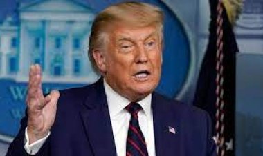 नवनिर्वाचित राष्ट्रपति ट्रंप ने सभी अवैध प्रवासियों को उनके देश वापस भेजे जाने पर जोर दिया