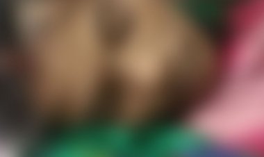 बैतूल में विवाहिता ने जहर खाया:इलाज के दौरान हुई मौत; तीन दिन पहले मायके आई थी