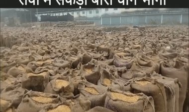 रीवा में शनिवार सुबह बारिश ने बदला मौसम:प्रशासनिक व्यवस्था की खुली पोल; करहिया मंडी में सैकड़ों बोरी धान भीगी