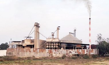 राइस मिल की राखड़ और धुएं से त्रस्त लोग, बीमारी और प्रदूषण से बढ़ी परेशानी