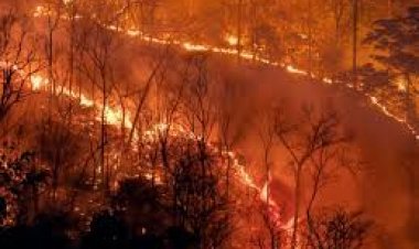 सदर्न कैलिफोर्निया में हवाएं तेज होने के बाद जंगल में आग की नयी चेतावनी जारी