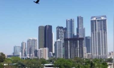 भारत में लोग खरीद रहे बड़े फ्लैट, 2024 में औसत साइज 8 प्रतिशत बढ़ा