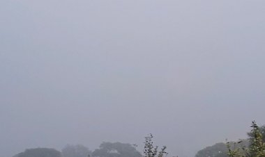 धार में 24 घंटे से चल रही शीतलहर:एक सप्ताह तक पड़ेगी कड़ाके की ठंड, फसल को नुकसान से बचाने दवा के छिड़काव की सलाह