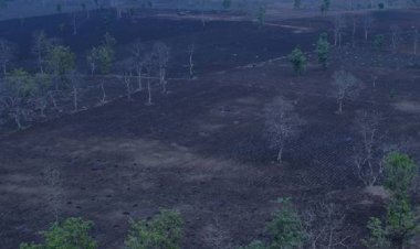 खंडवा में किसानों का जंगल बचाओ आंदोलन:गुड़ी में आज जुटेंगे सैकड़ों आंदोलनकारी, वन माफिया के खिलाफ एक्शन लेने की मांग