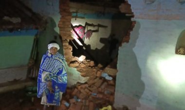 अनूपपुर में दो हाथियों ने तीन घरों में की तोड़फोड़:खेतों और बांडियों में लगी फसलों को पहुंचाया नुकसान