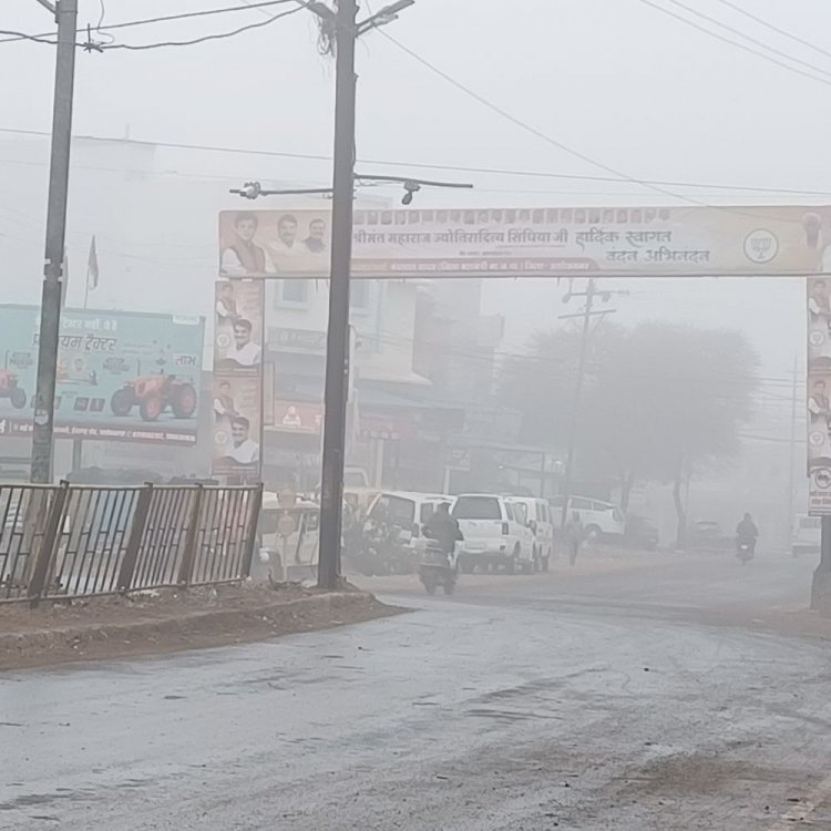 अशोकनगर में घना कोहरा:100 मीटर रही विजिबिलिटी, दिन में तेज धूप निकलने से सर्दी में राहत; अधिकतम पारे में बढ़ोतरी