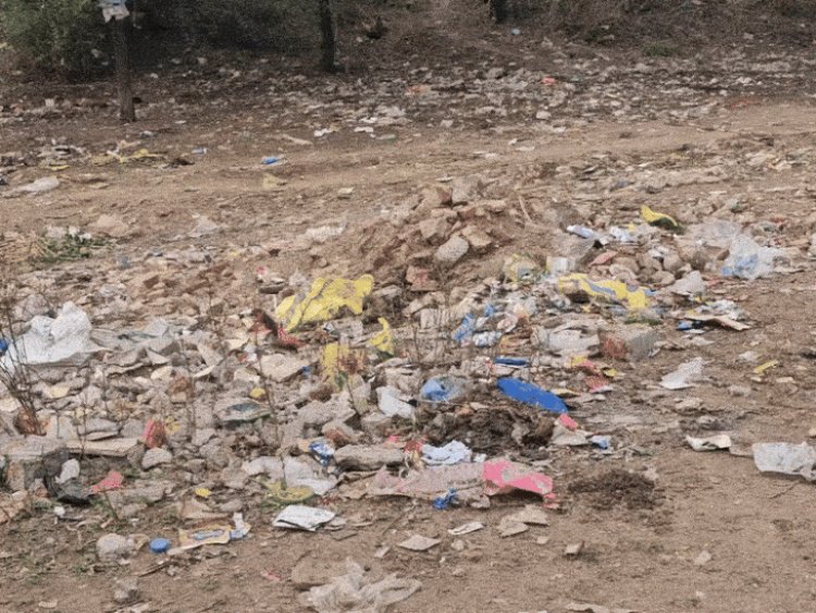 शाजापुर में दावों से अलग स्वच्छता की हकीकत:भास्कर ग्राउंड रिपोर्ट; कई वार्डों में जगह-जगह लग रहा गंदगी का अंबार, रहवासी परेशान