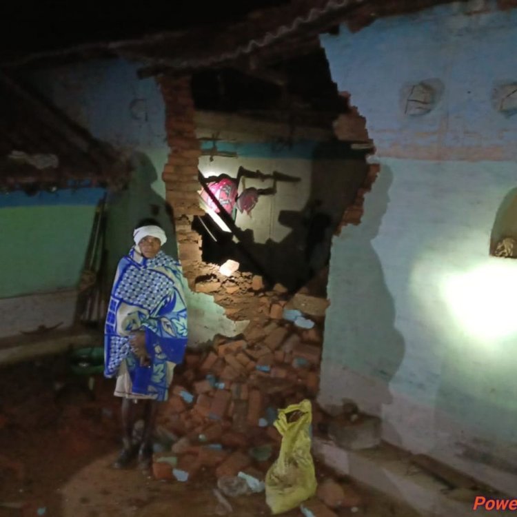 अनूपपुर में दो हाथियों ने तीन घरों में की तोड़फोड़:खेतों और बांडियों में लगी फसलों को पहुंचाया नुकसान