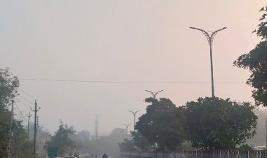 उत्तर भारत में बर्फबारी का मध्य प्रदेश तक असर:धार में न्यूनतम तापमान 9.2 डिग्री दर्ज, दो दिन में 7.8 डिग्री गिरा पारा