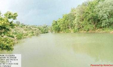 मिट्टी बांध से किसानों और ग्रामीणों को राहत, हाथी प्रभावित क्षेत्र में मिला समाधान