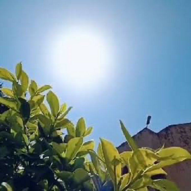 इंदौर में ठंडी हवा चलने से तापमान में गिरावट:कल के मुकाबले दिन और रात का पारा सामान्य से 2 डिग्री कम