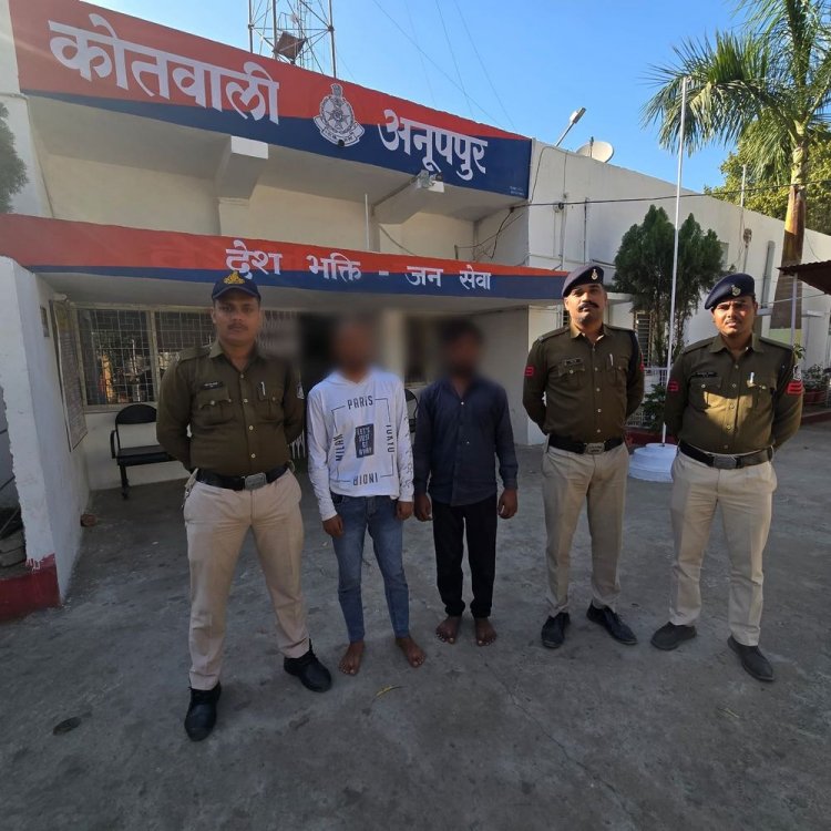 सोशल मीडिया पर महिला को परेशान करने वाले युवक पकड़ाए:इंस्टाग्राम पर दोस्ती के बाद कर रहे थे तंग, अनूपपुर पुलिस ने किया गिरफ्तार