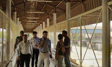 कलेक्टर का जिला अस्पताल में 15 दिनों में दूसरा दौरा:मरीजों से बातचीत कर जानी व्यवस्थाएं; साफ-सफाई और स्टाफ की उपस्थिति की जांच की